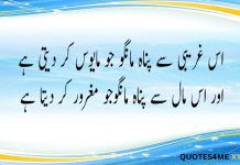 20 Best Simple Life Quotes in Urdu