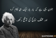 35 Albert Einstein Quotes in Urdu